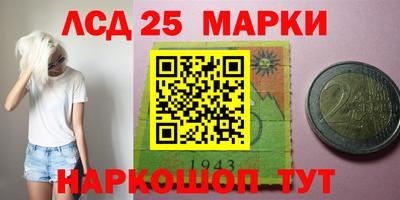 СК Кандалакша