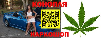 дурь Кингисепп