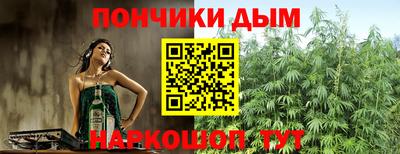 дурь Кингисепп