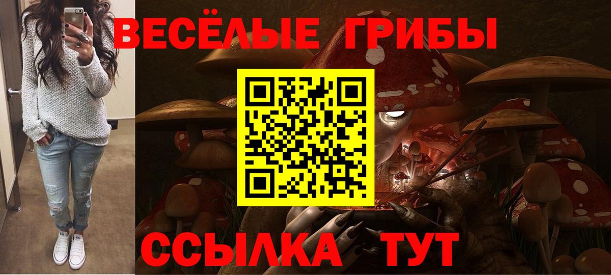 Галлюциногенные грибы Magic Shrooms Азов